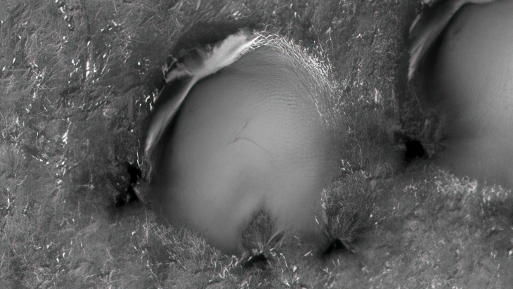 Click for larger image