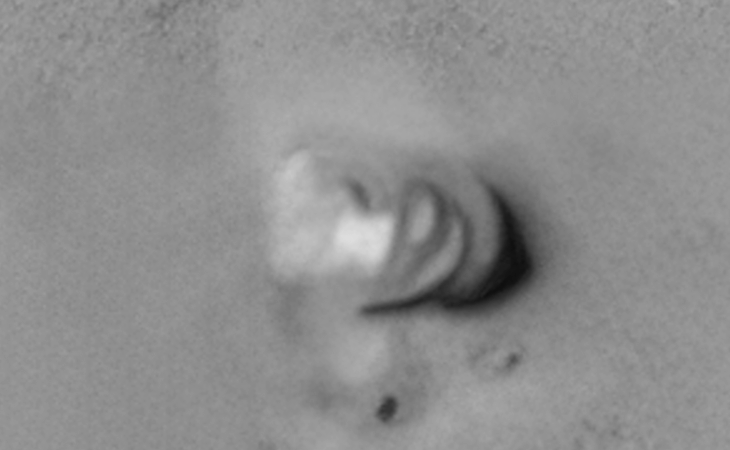 Click for larger image at actual size 1:1 scale