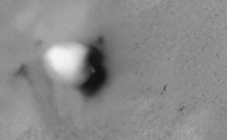 Click for larger image at actual size 1:1 scale