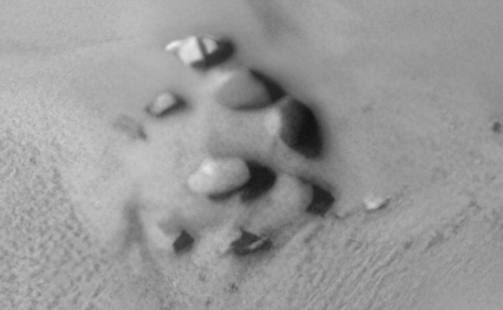 Click for larger image at actual size 1:1 scale