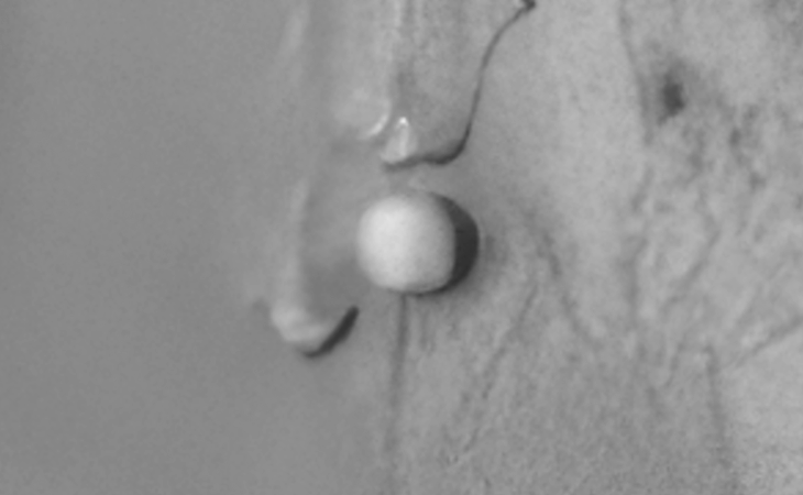 Click for larger image at actual size 1:1 scale