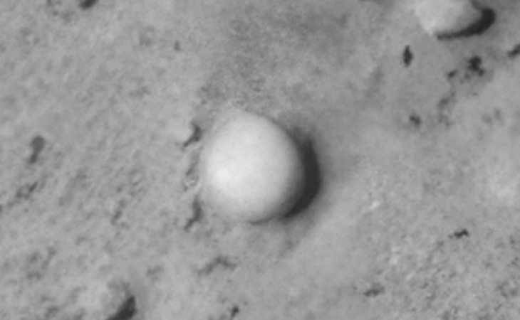 Click for larger image at actual size 1:1 scale