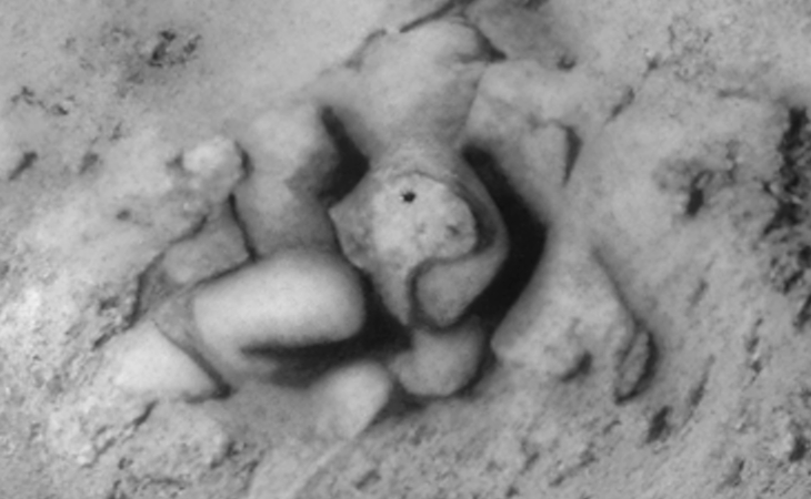 Click for larger image at actual size 1:1 scale