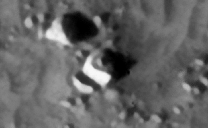 Click for larger image at actual size 1:1 scale