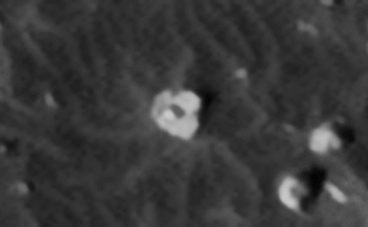 Click for larger image at actual size 1:1 scale