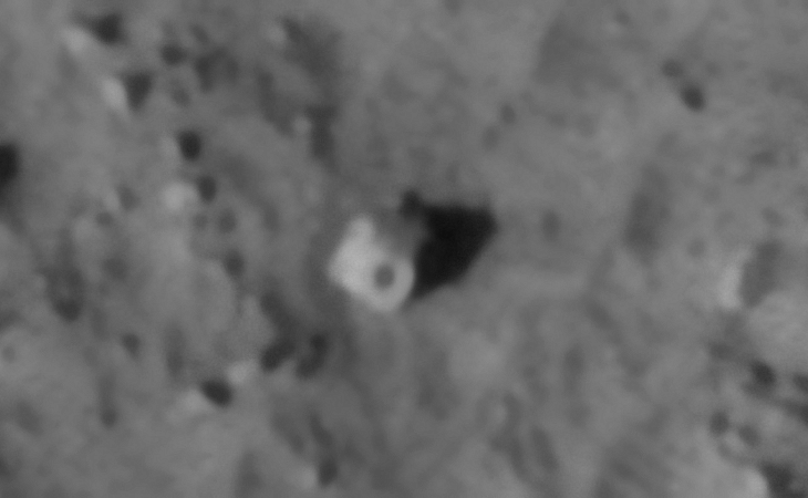 Click for larger image at actual size 1:1 scale