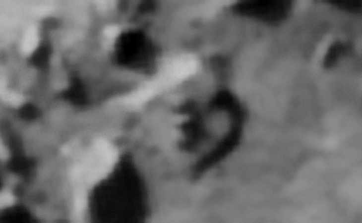 Click for larger image at actual size 1:1 scale