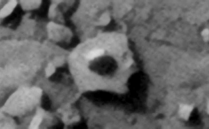 Click for larger image at actual size 1:1 scale