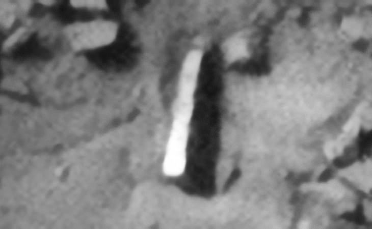 Click for larger image at actual size 1:1 scale