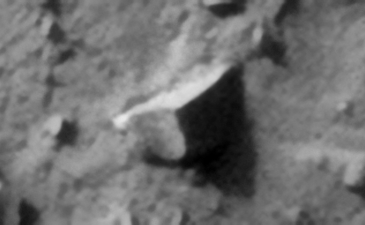 Click for larger image at actual size 1:1 scale