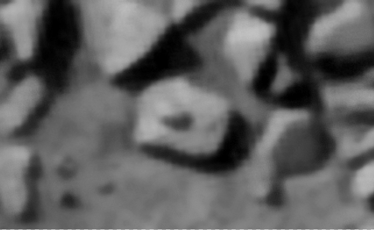 Click for larger image at actual size 1:1 scale