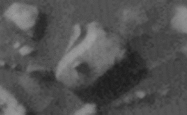 Click for larger image at actual size 1:1 scale