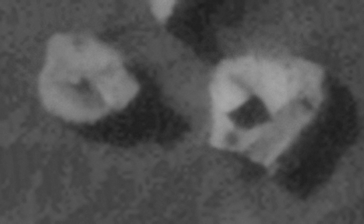 Click for larger image at actual size 1:1 scale