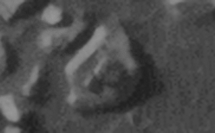 Click for larger image at actual size 1:1 scale