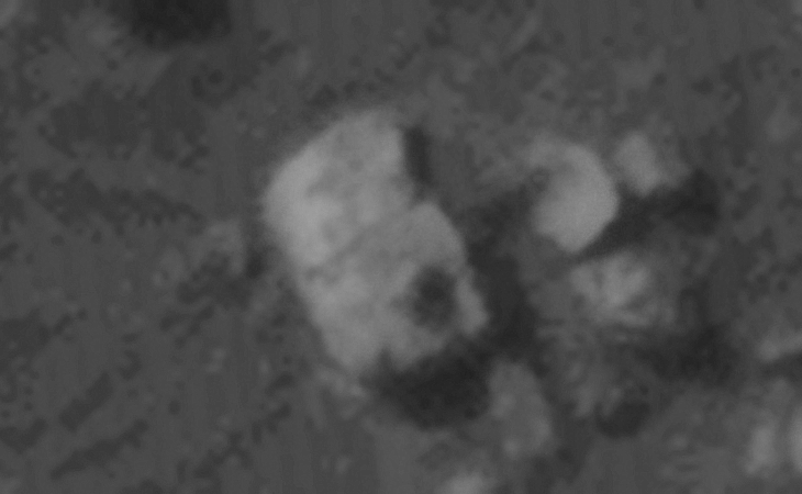 Click for larger image at actual size 1:1 scale