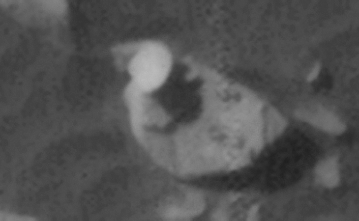 Click for larger image at actual size 1:1 scale