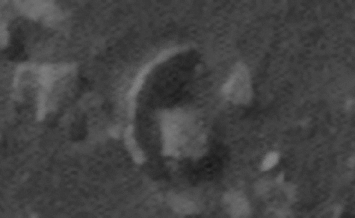 Click for larger image at actual size 1:1 scale