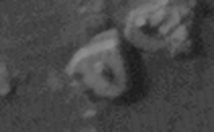 Click for larger image at actual size 1:1 scale