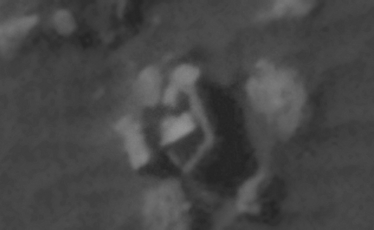 Click for larger image at actual size 1:1 scale