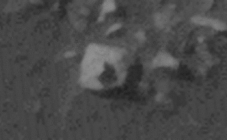 Click for larger image at actual size 1:1 scale