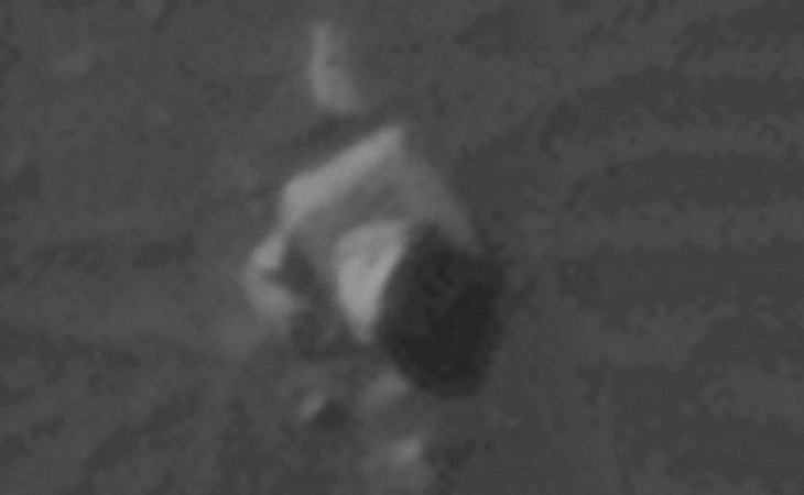 Click for larger image at actual size 1:1 scale