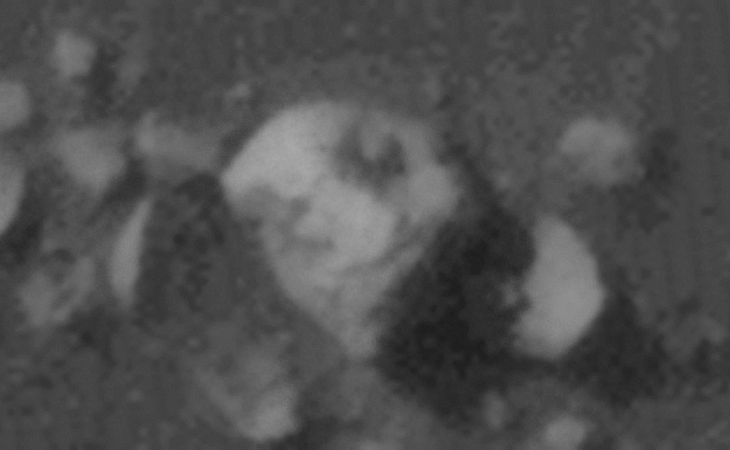 Click for larger image at actual size 1:1 scale