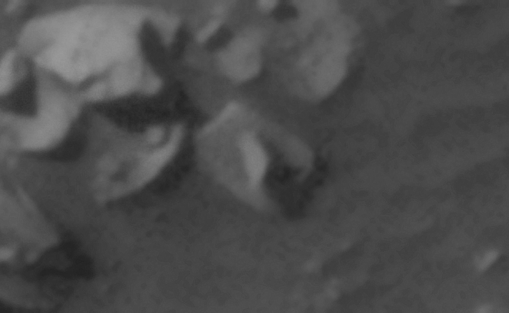 Click for larger image at actual size 1:1 scale