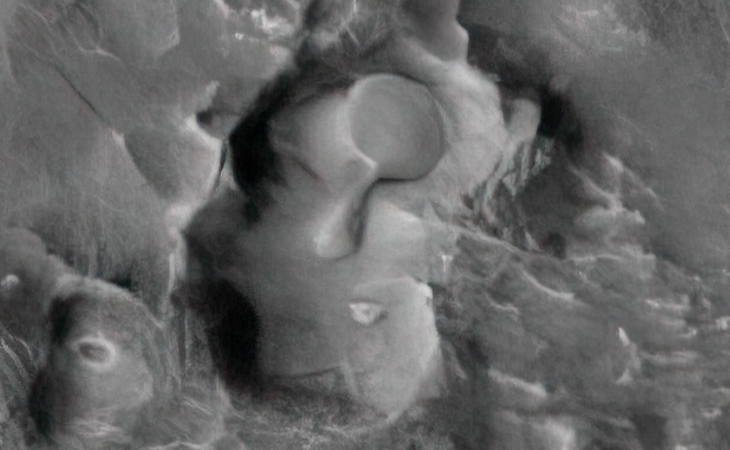 Topaz Labs' Gigapixel AI close-up (click for larger image at actual size 1:1 scale)