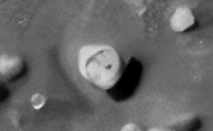 Click for larger image at actual size 1:1 scale