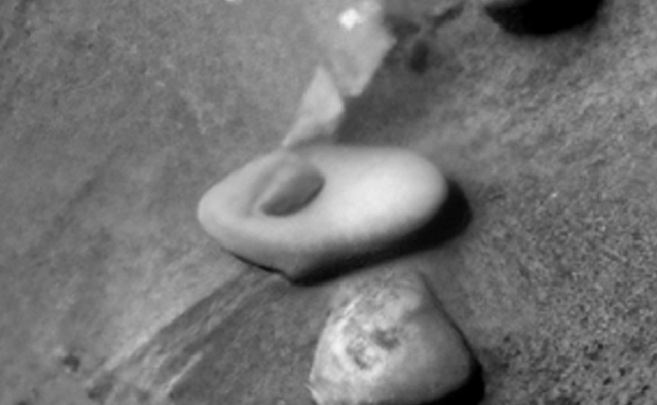 Click for larger image at actual size 1:1 scale