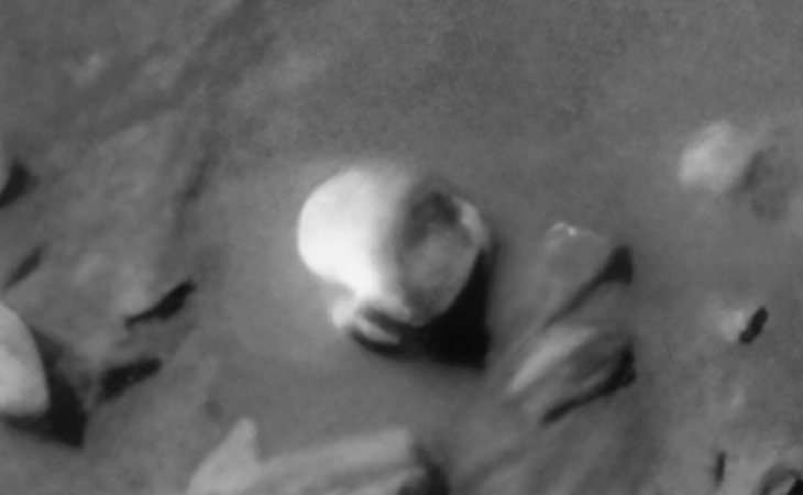 Click for larger image at actual size 1:1 scale