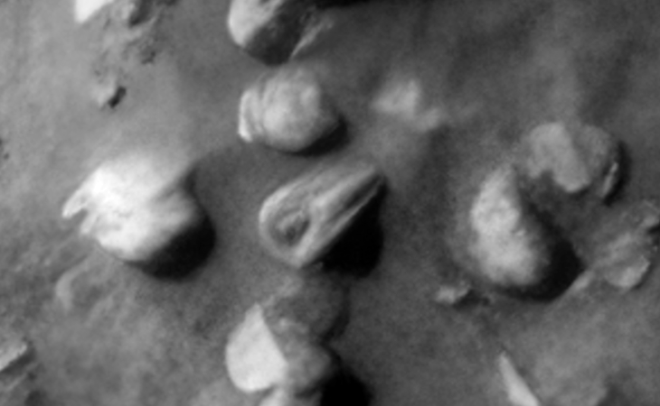 Click for larger image at actual size 1:1 scale