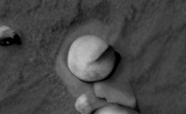 Click for larger image at actual size 1:1 scale