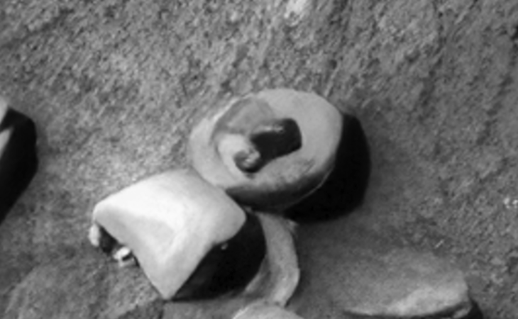 Click for larger image at actual size 1:1 scale