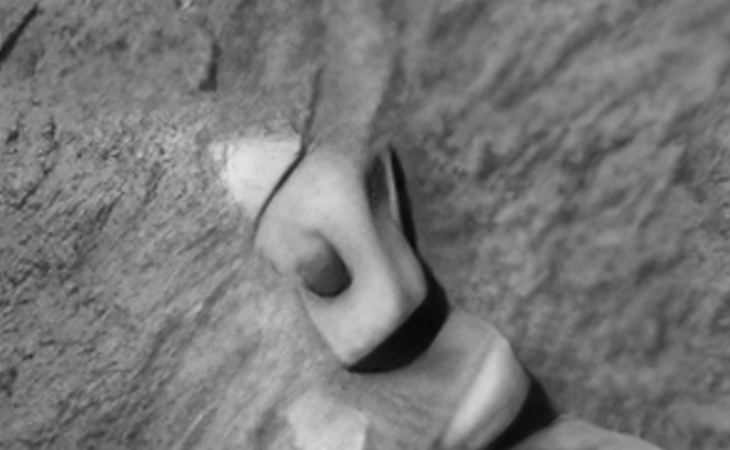 Click for larger image at actual size 1:1 scale