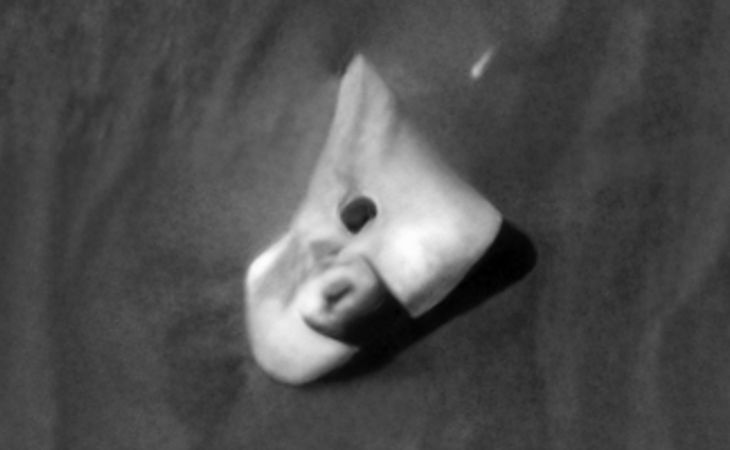 Click for larger image at actual size 1:1 scale