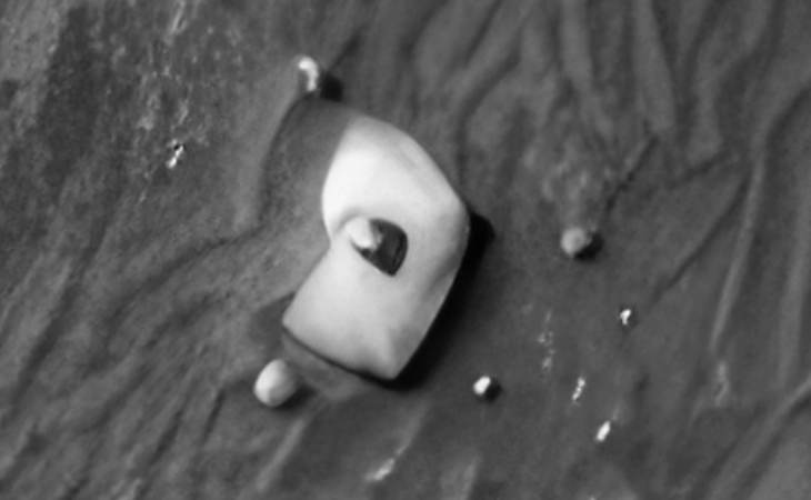 Click for larger image at actual size 1:1 scale