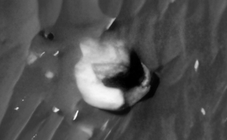 Click for larger image at actual size 1:1 scale