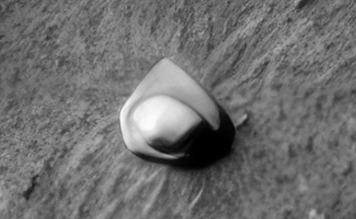 Click for larger image at actual size 1:1 scale