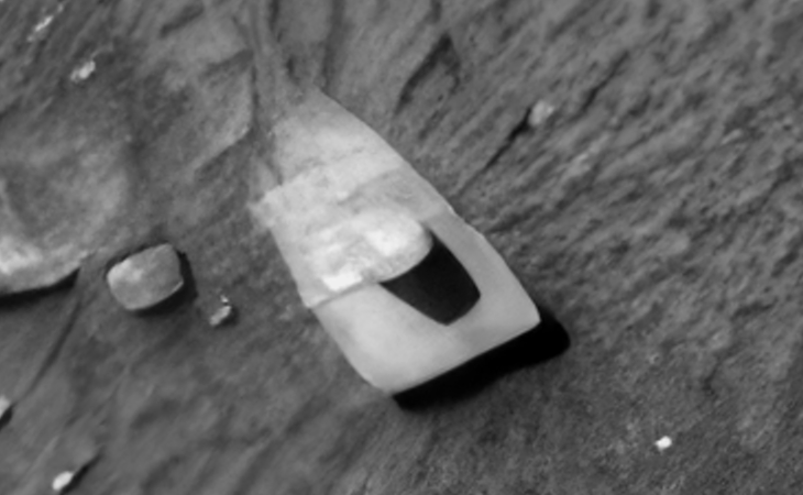 Click for larger image at actual size 1:1 scale