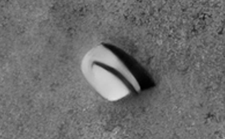 Click for larger image at actual size 1:1 scale