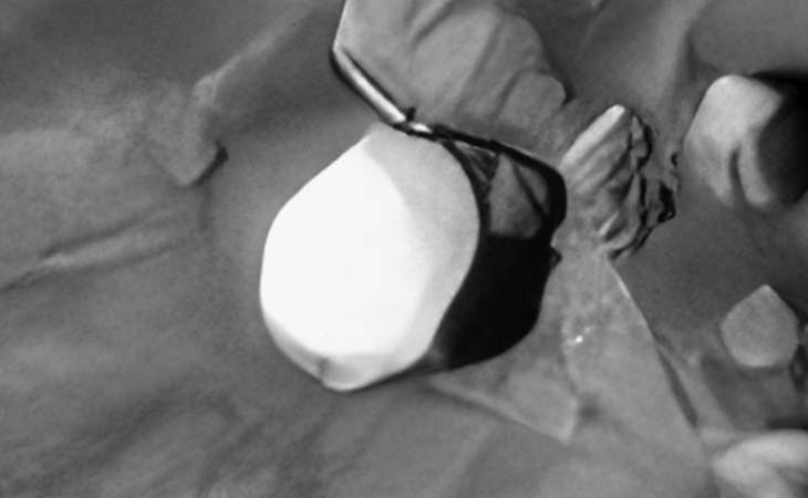 Click for larger image at actual size 1:1 scale