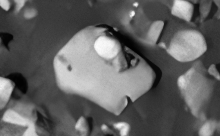 Click for larger image at actual size 1:1 scale