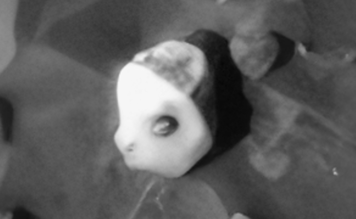 Click for larger image at actual size 1:1 scale