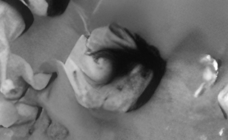 Click for larger image at actual size 1:1 scale