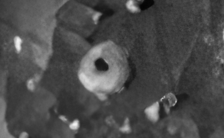 Click for larger image at actual size 1:1 scale