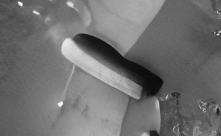 Click for larger image at actual size 1:1 scale