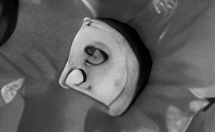 Click for larger image at actual size 1:1 scale