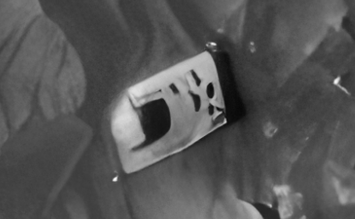 Click for larger image at actual size 1:1 scale