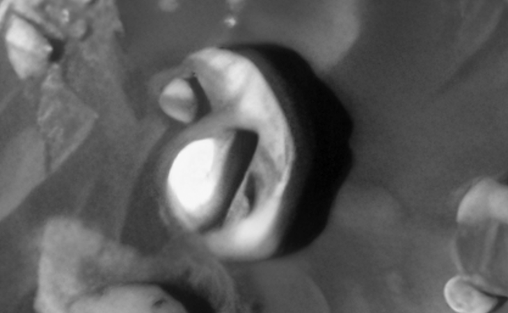 Click for larger image at actual size 1:1 scale